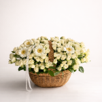 this is an arrangment of zamarqa.com in doha qatar